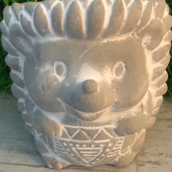 Small Natural Cement Concrete Hedgehog Planter Pot & 2 Pairs of Socks Gift Set - Picture 3 of 11
